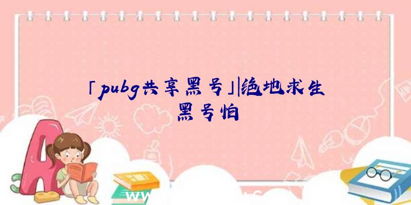 「pubg共享黑号」|绝地求生黑号怕